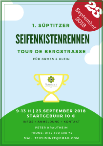 1. Süptitzer Seifenkistenrennen