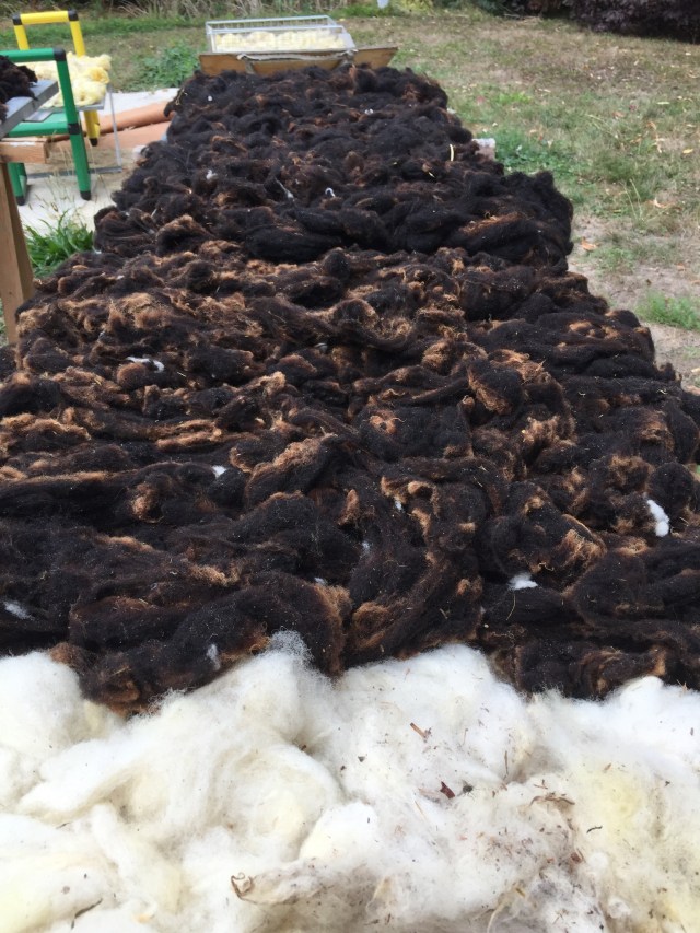 9DDDB0FB-AC66-4D94-8029-41D734C9F70B