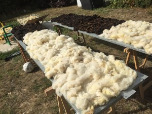 E0CEE945-7BFA-4AD0-8BBA-9B434A08B6CE