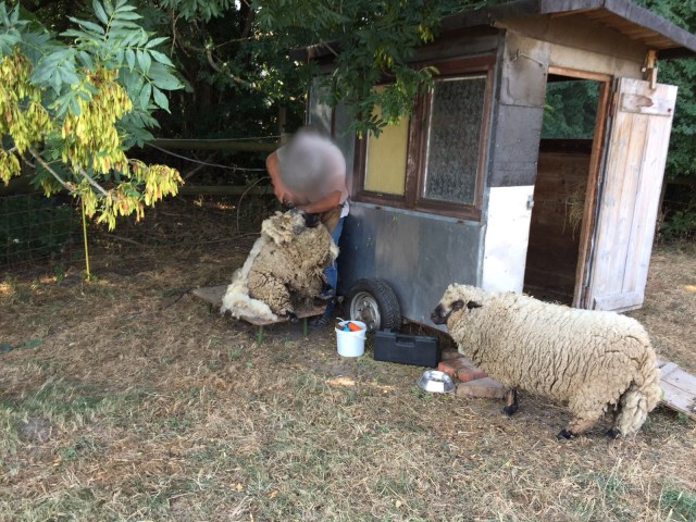 F284F898-3FC8-4D3A-ABAB-00C3944FE319