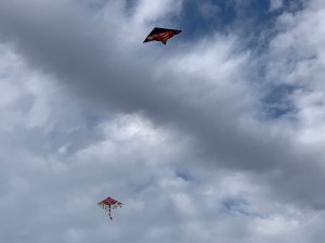 06FC8DD4-F308-4AE6-851E-BB85DE0FFFFD