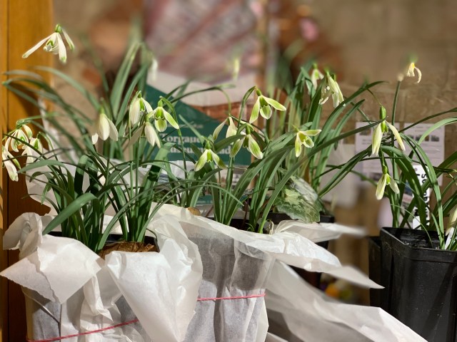 94007D6A-9419-4A3A-BB51-170315DA368B