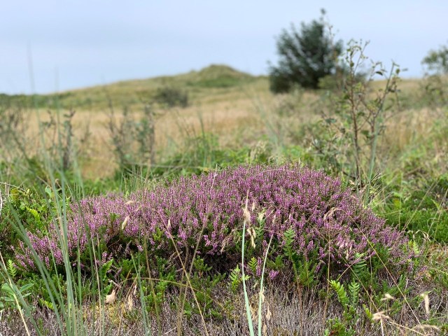 094BA9F6-F0AD-4508-88AF-6075CF45A7F8